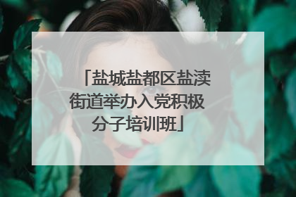 盐城盐都区盐渎街道举办入党积极分子培训班