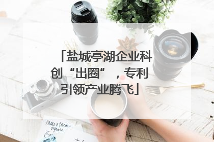 盐城亭湖企业科创“出圈”，专利引领产业腾飞