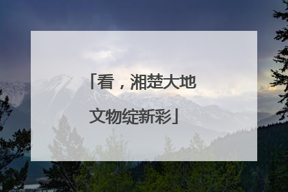 看，湘楚大地文物绽新彩