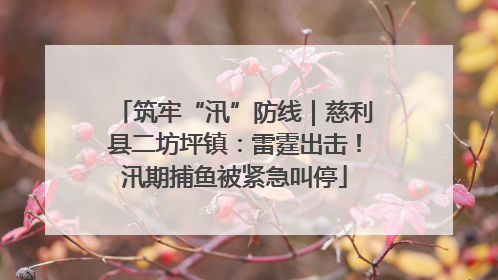 筑牢“汛”防线｜慈利县二坊坪镇：雷霆出击！汛期捕鱼被紧急叫停