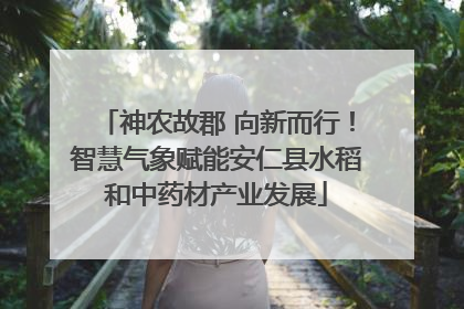 神农故郡 向新而行！智慧气象赋能安仁县水稻和中药材产业发展