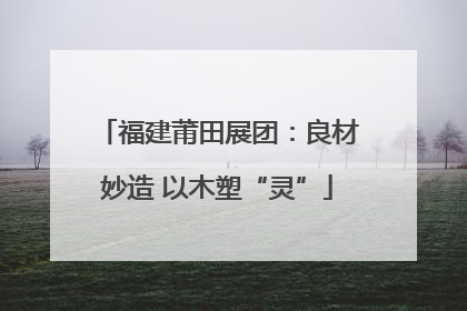 福建莆田展团：良材妙造 以木塑“灵”