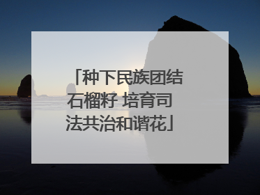 种下民族团结石榴籽 培育司法共治和谐花