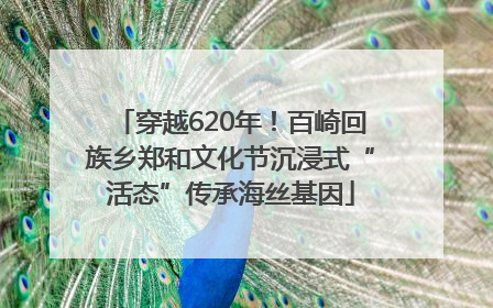 穿越620年！百崎回族乡郑和文化节沉浸式“活态”传承海丝基因