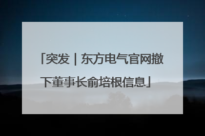 突发｜东方电气官网撤下董事长俞培根信息