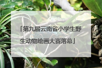 第九届云南省小学生野生动物绘画大赛落幕