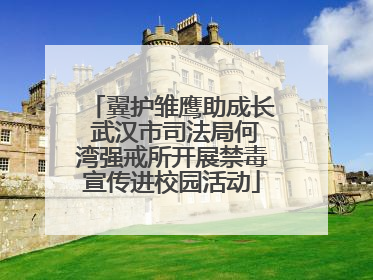 翼护雏鹰助成长 武汉市司法局何湾强戒所开展禁毒宣传进校园活动