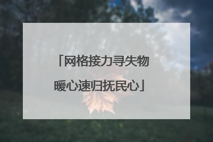 网格接力寻失物 暖心速归抚民心