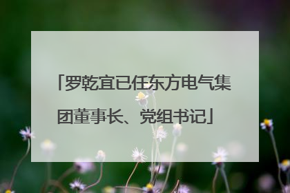 罗乾宜已任东方电气集团董事长、党组书记
