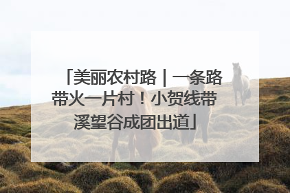 美丽农村路｜一条路带火一片村！小贺线带溪望谷成团出道