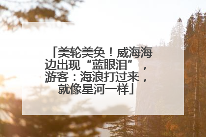 美轮美奂！威海海边出现“蓝眼泪”，游客：海浪打过来，就像星河一样