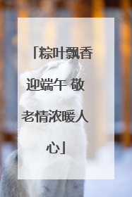 粽叶飘香迎端午 敬老情浓暖人心