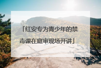 红安专为青少年的禁毒课在庭审现场开讲
