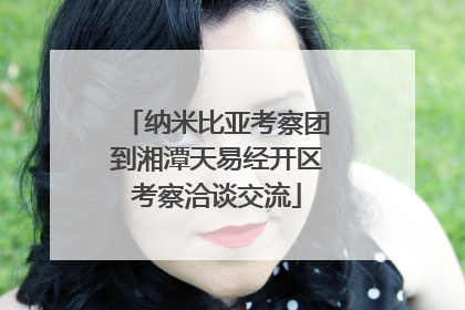 纳米比亚考察团到湘潭天易经开区考察洽谈交流