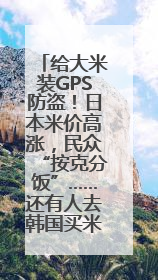 给大米装GPS防盗！日本米价高涨，民众“按克分饭”……还有人去韩国买米