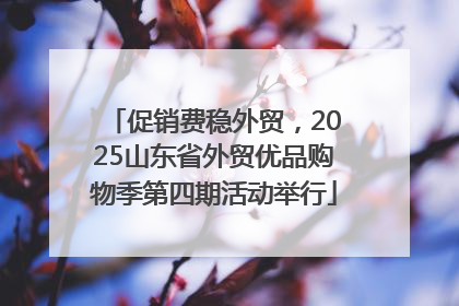 促销费稳外贸，2025山东省外贸优品购物季第四期活动举行