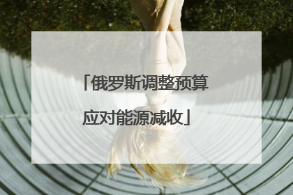 俄罗斯调整预算应对能源减收