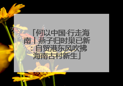 何以中国·行走海南丨燕子归时巢已新：自贸港东风吹拂 海南古村新生