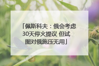 佩斯科夫：俄会考虑30天停火提议 但试图对俄施压无用