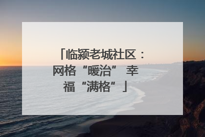 临颍老城社区：网格“暖治” 幸福“满格”