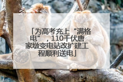 为高考充上“满格电”，110千伏唐家墩变电站改扩建工程顺利送电