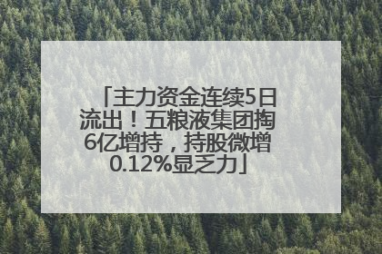 主力资金连续5日流出！五粮液集团掏6亿增持，持股微增0.12%显乏力