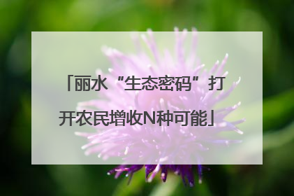 丽水“生态密码”打开农民增收N种可能