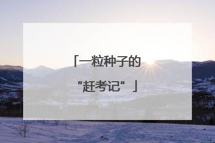 一粒种子的“赶考记”
