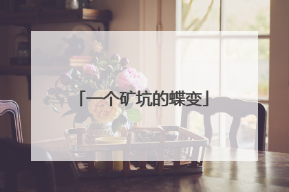 一个矿坑的蝶变