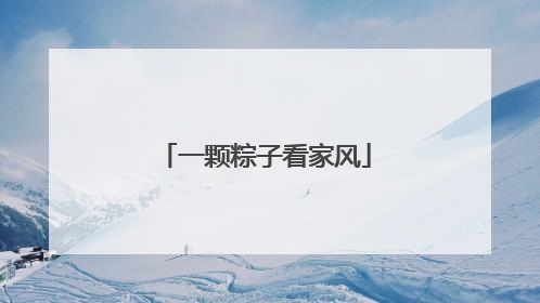 一颗粽子看家风