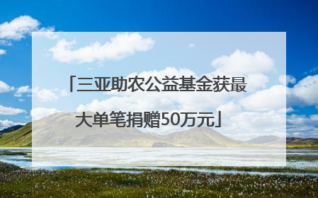 三亚助农公益基金获最大单笔捐赠50万元