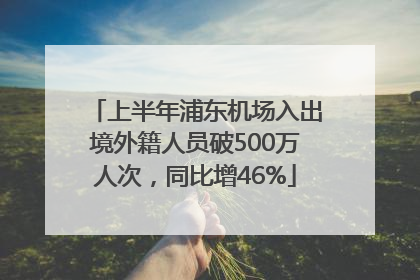 上半年浦东机场入出境外籍人员破500万人次，同比增46%