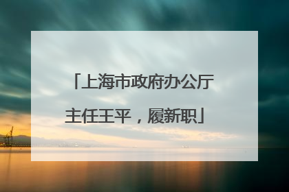 上海市政府办公厅主任王平，履新职