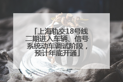 上海轨交18号线二期进入车辆、信号系统动车调试阶段，预计年底开通