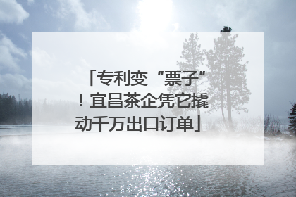 专利变“票子”！宜昌茶企凭它撬动千万出口订单