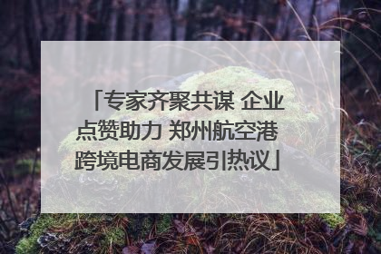 专家齐聚共谋 企业点赞助力 郑州航空港跨境电商发展引热议