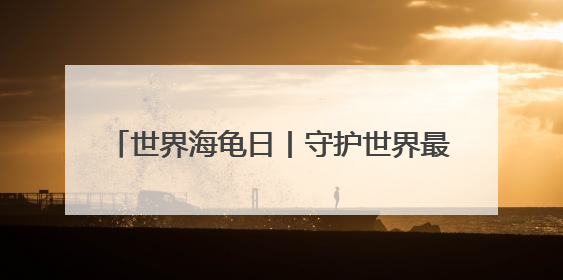世界海龟日丨守护世界最大海龟产卵 特多“守夜人”坚守海滩30多年