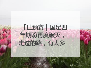 世预赛｜国足四年期盼再度破灭，走过的路，有太多的“意难平”