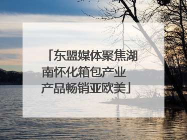 东盟媒体聚焦湖南怀化箱包产业 产品畅销亚欧美