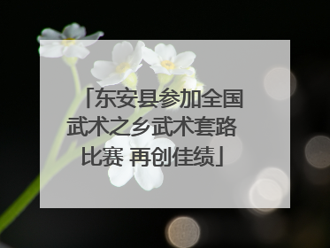 东安县参加全国武术之乡武术套路比赛 再创佳绩