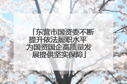 东营市国资委不断提升依法履职水平 为国资国企高质量发展提供坚实保障