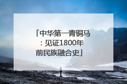 中华第一青铜马：见证1800年前民族融合史