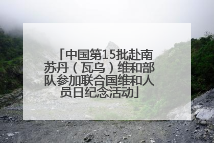 中国第15批赴南苏丹（瓦乌）维和部队参加联合国维和人员日纪念活动