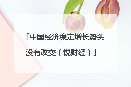 中国经济稳定增长势头没有改变（锐财经）