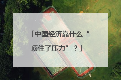 中国经济靠什么“顶住了压力”？