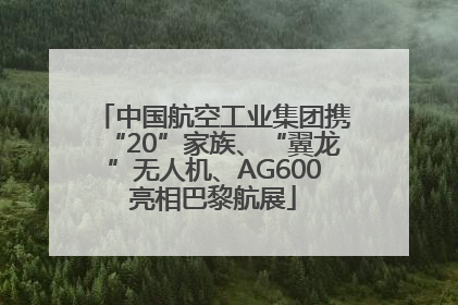 中国航空工业集团携“20”家族、“翼龙”无人机、AG600亮相巴黎航展