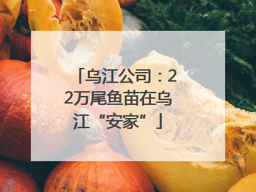 乌江公司：22万尾鱼苗在乌江“安家”