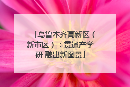 乌鲁木齐高新区（新市区）：贯通产学研 融出新图景