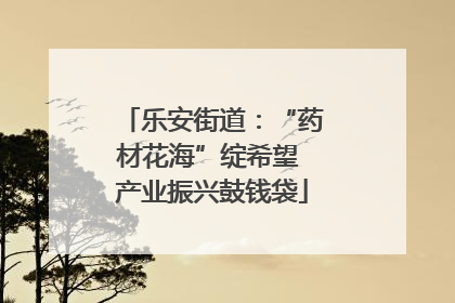乐安街道：“药材花海”绽希望 产业振兴鼓钱袋