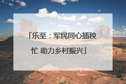 乐至：军民同心插秧忙 助力乡村振兴
